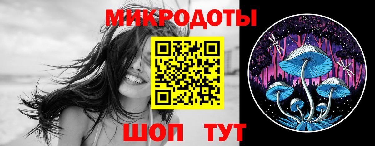 Псилоцибиновые грибы прущие грибы  Псилоцибиновые грибы GOLDEN TEACHER  Вход с VPN  Димитровград 
