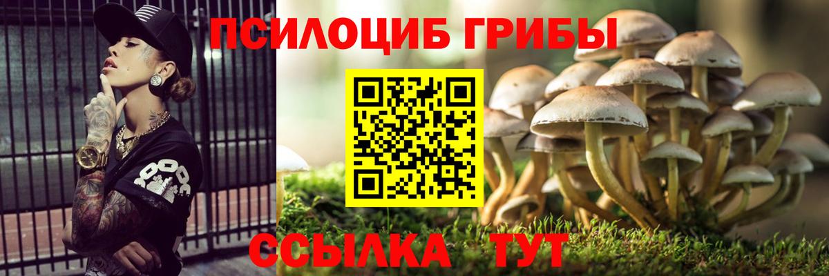 Псилоцибиновые грибы прущие грибы Димитровград